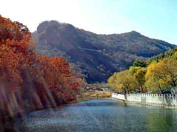 澳门二四六天天免费好材料，大田梅园山庄